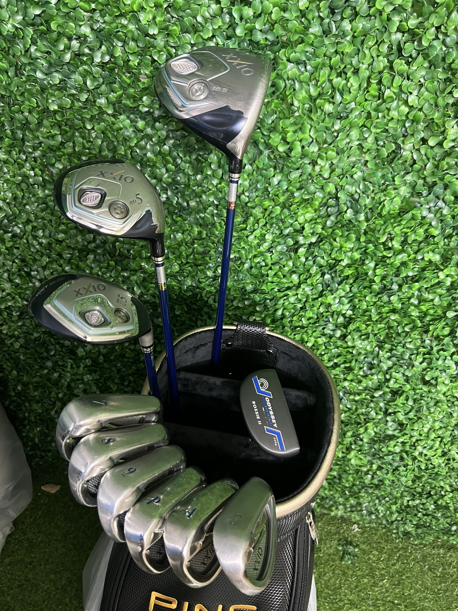 Fullset XXIO MP800 nữ cán L gồm 10 gậy